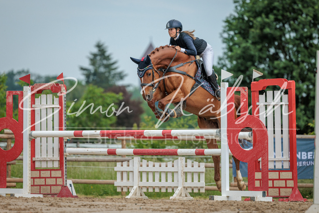20260530-_3LI2541 | Tierfotografie Pferde, Hunde, Katzen, Haustiere.
Turnierfotografie Reitturniere, Reiten, Springreiten, Dressur in Hanau, dem Main-Kinzig-Kreis und dem Rhein-Main- Gebiet um Frankfurt