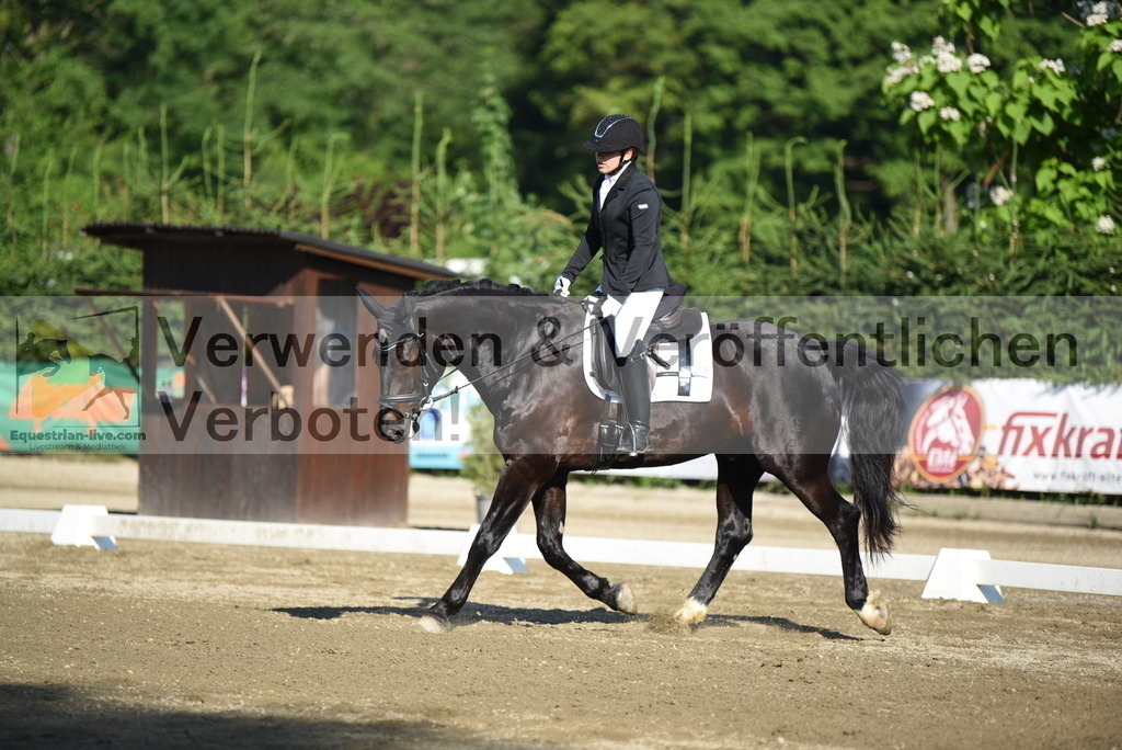 DSC_6900 | equestrian-live-com