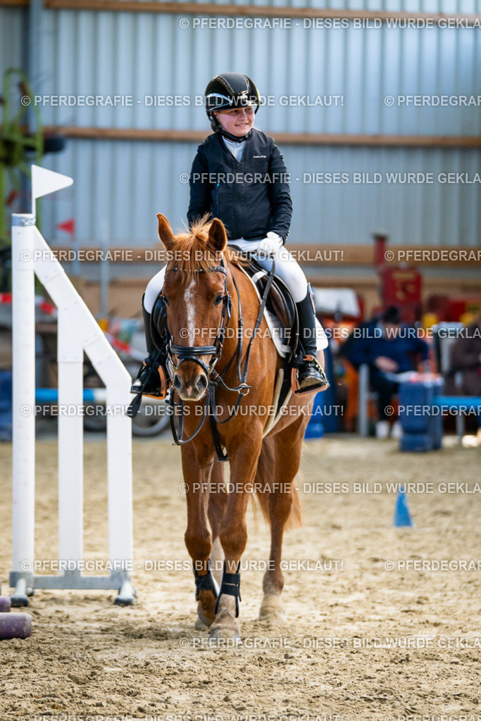 DSC01988 | Pferdegrafie