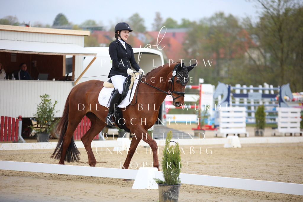 IMGT6627 | pl-fotografie