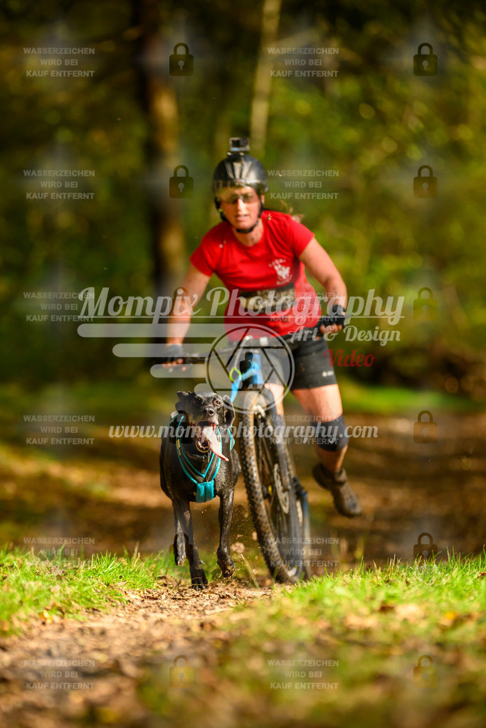 MompixPhotography_20TSB_E1_DS1-4 | PayLife
