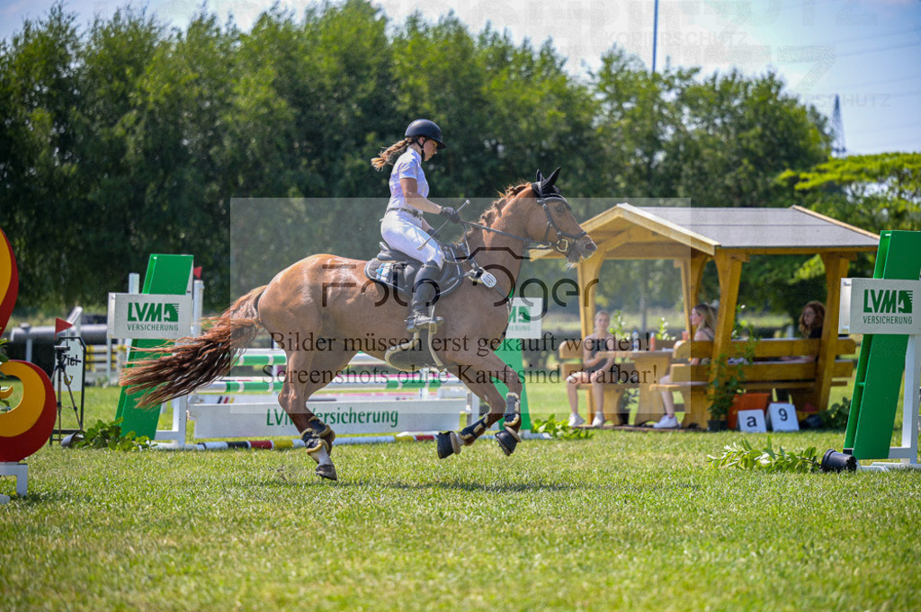 Reitturnier Voxtrup | Entdecke hochwertige Reitturnierfotos von Foto Oger. Professionell, emotional und authentisch – jetzt Lieblingsmomente im Shop bestellen.Deutschlandweite Turnierfotografie. - Realisiert mit Pictrs.com