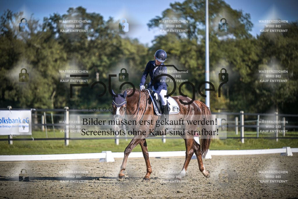 DOS_B804 | Entdecke hochwertige Reitturnierfotos von Foto Oger. Professionell, emotional und authentisch – jetzt Lieblingsmomente im Shop bestellen.Deutschlandweite Turnierfotografie. - Realisiert mit Pictrs.com