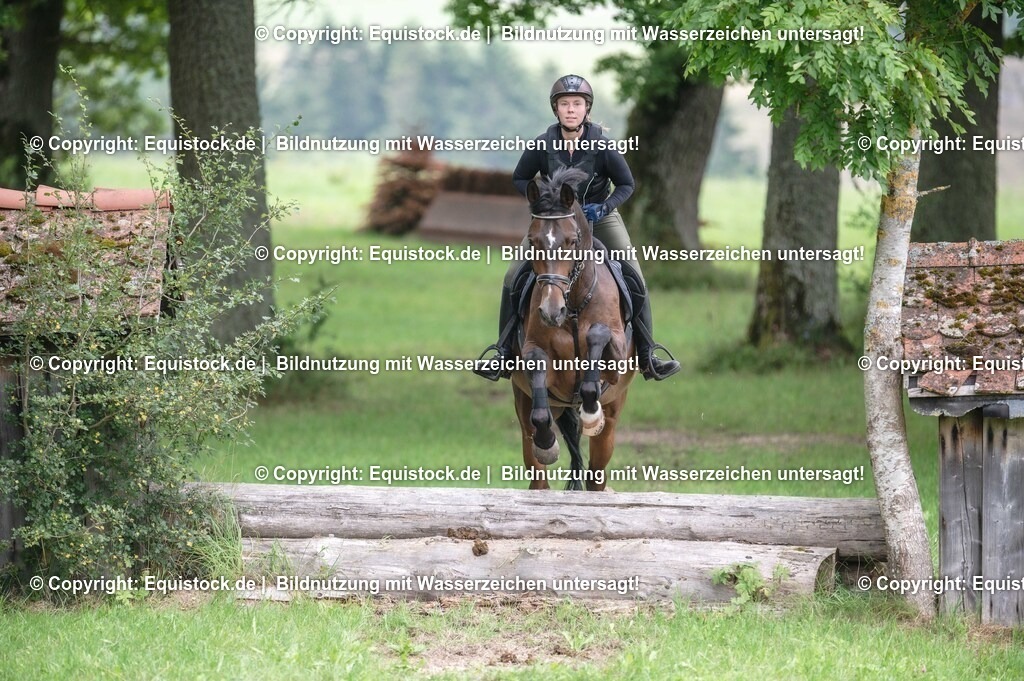 20250726_Vielseitigkeitslehrgang-Marbach_0728 | Foto: Thomas Hartig