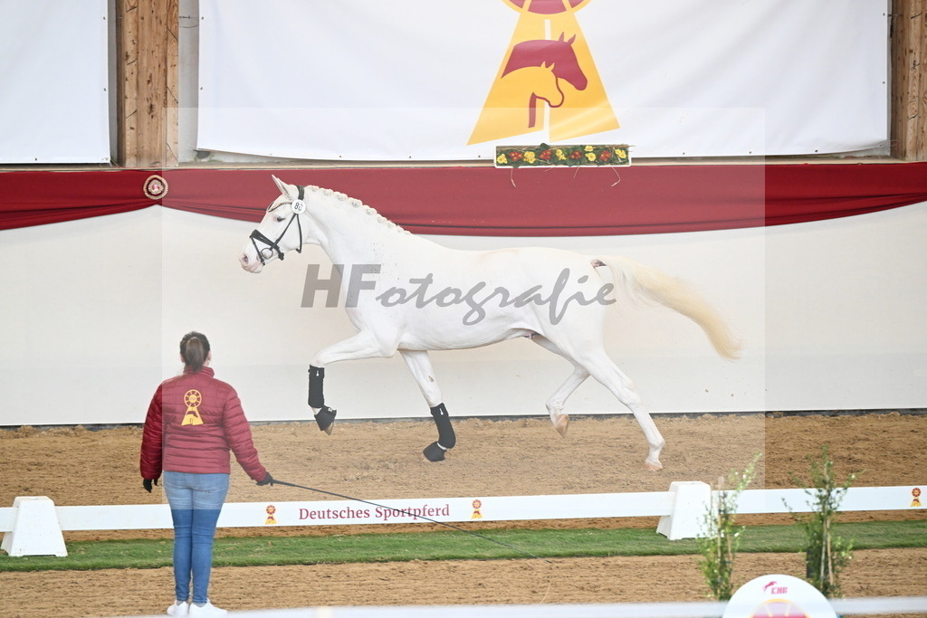 Kat.-Nr. 80 v. Topas_Sahlmann-Schmitz_2250704 | hf-fotografie - Realisiert mit Pictrs.com
