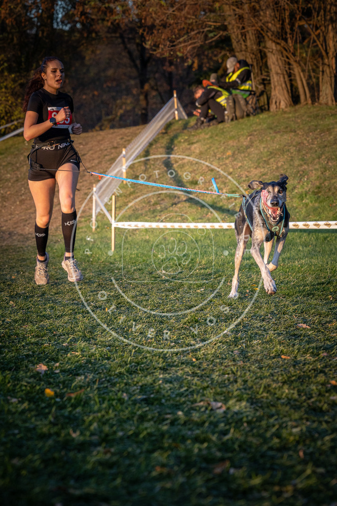 CaniXpix_0L8A1812 | Hundefotografie, Tierfotograf, Pfotenfotografie, Fotoshooting Hund, Hunde Portrait, Hundesport, Hundeportraits, Heideshooting, Hunde, Sportfotograf, Hundefotograf, Turnierhundsport, THS,  - Realisiert mit Pictrs.com