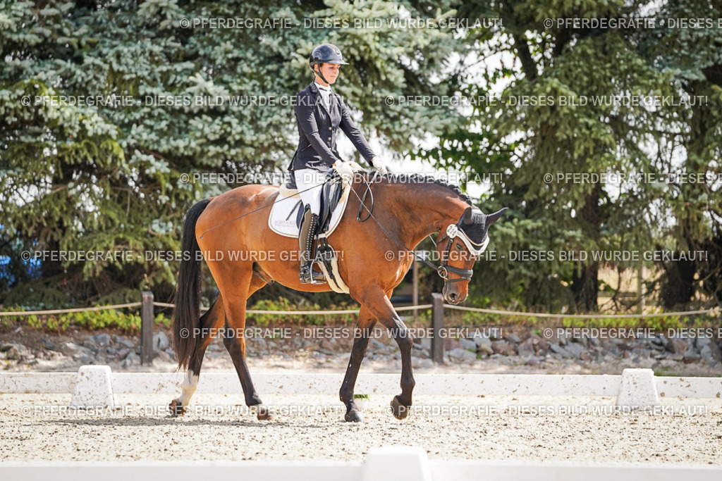 DSC09066 | Pferdegrafie