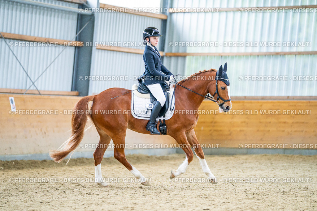 DSC04777 | Pferdegrafie