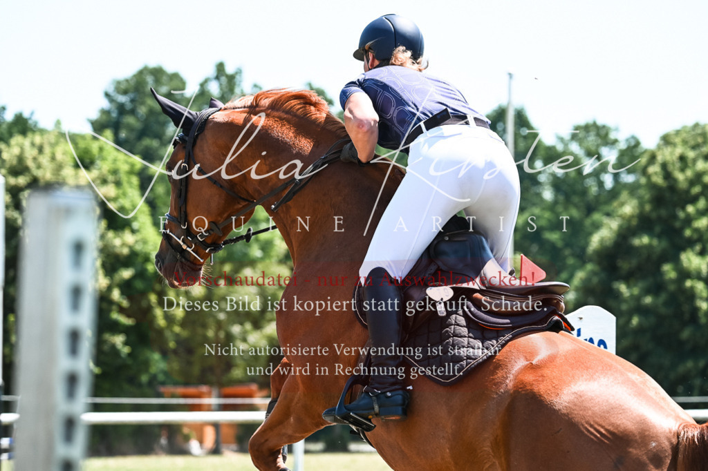 DSC_0143 | Pferde- und Turnierfotografie in Westsachsen. Pferdeportraits, Auftragszeichnungen und intuitive Kunst.