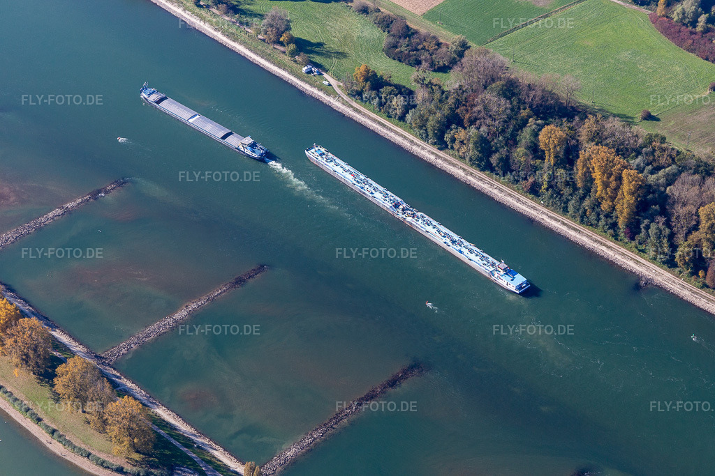 Luftbild: Rhein im Ortsteil Daxlanden in Karlsruhe im Bundesland Baden-Württemberg in Deutschland. Foto: IMG_130020.jpg vom 24.10.2021 durch Werner Riehm/FLY-FOTO.de
