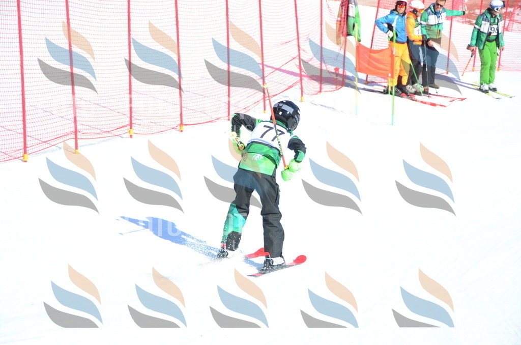 C5547 | holidayphoto