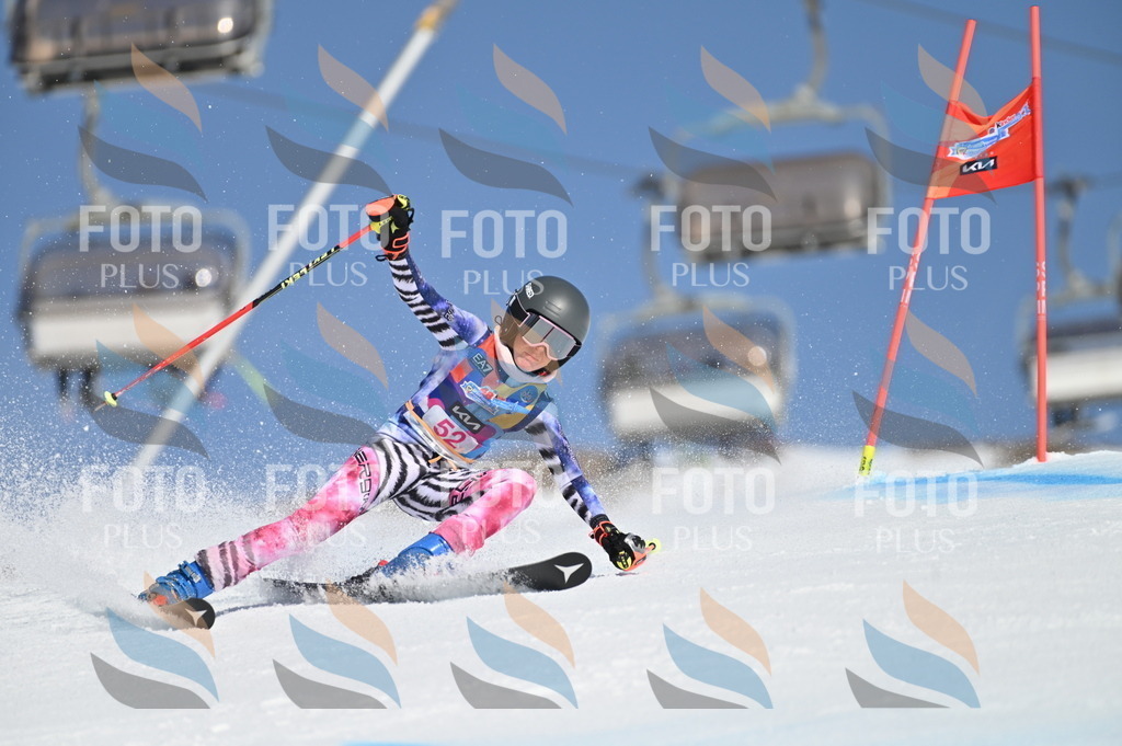 BGV_8565 | holidayphoto