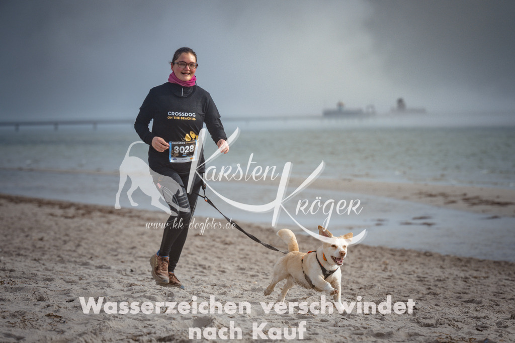 1117_ZZ97587 | kk-dogfotos