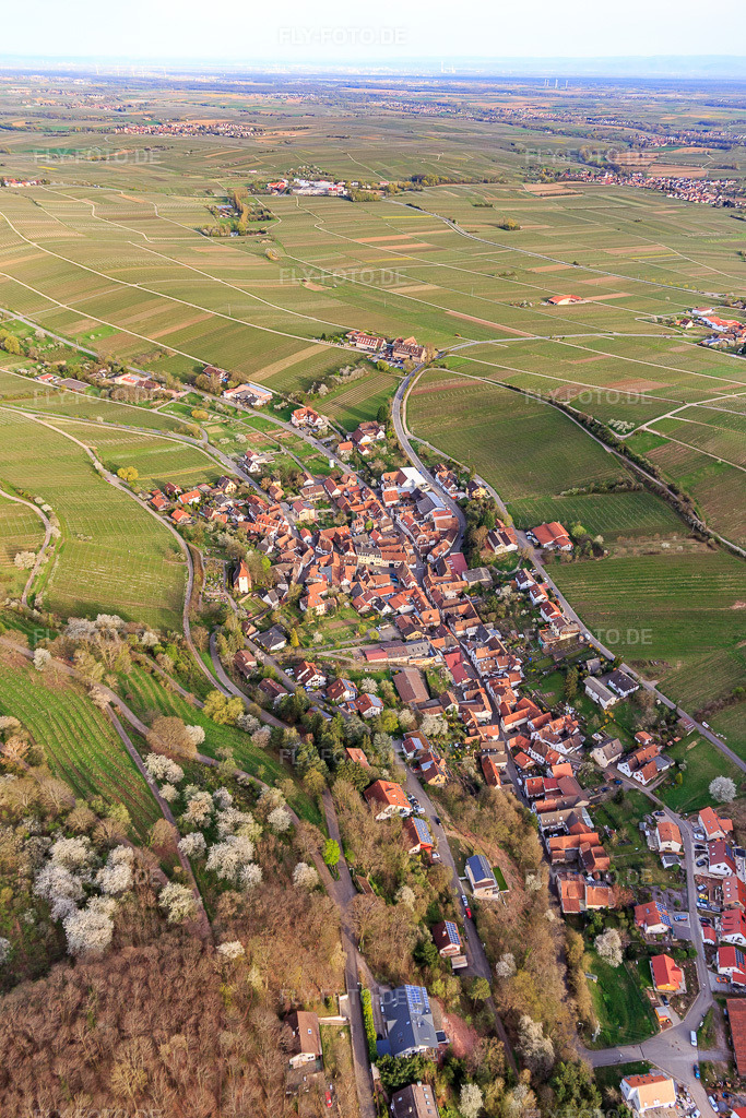 Luftbild: Dorfansicht aus Nordwesten in Leinsweiler im Bundesland Rheinland-Pfalz in Deutschland. Foto: IMG_131160.jpg vom 12.04.2022 durch Werner Riehm/FLY-FOTO.deLeinsweiler - wo die Pfalz am schönsten ist