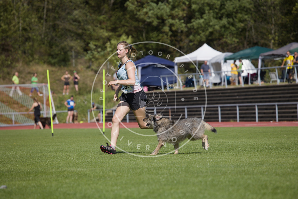 0L8A6904 | Hundefotografie, Tierfotograf, Pfotenfotografie, Fotoshooting Hund, Hunde Portrait, Hundesport, Hundeportraits, Heideshooting, Hunde, Sportfotograf, Hundefotograf, Turnierhundsport, THS,  - Realisiert mit Pictrs.com