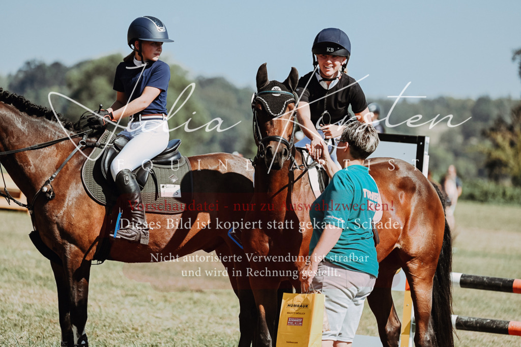 DSC_0082 | Pferde- und Turnierfotografie in Westsachsen. Pferdeportraits, Auftragszeichnungen und intuitive Kunst.