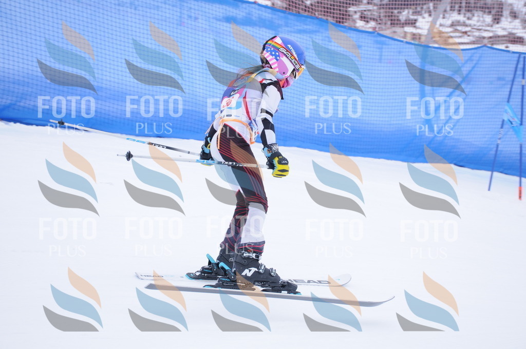 DSC_7826 | holidayphoto