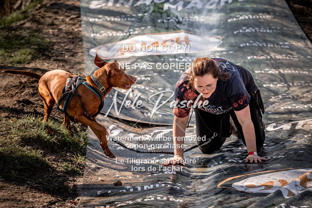 nelerasche_Hulsbeek_So1300-1330_55 | nelerasche