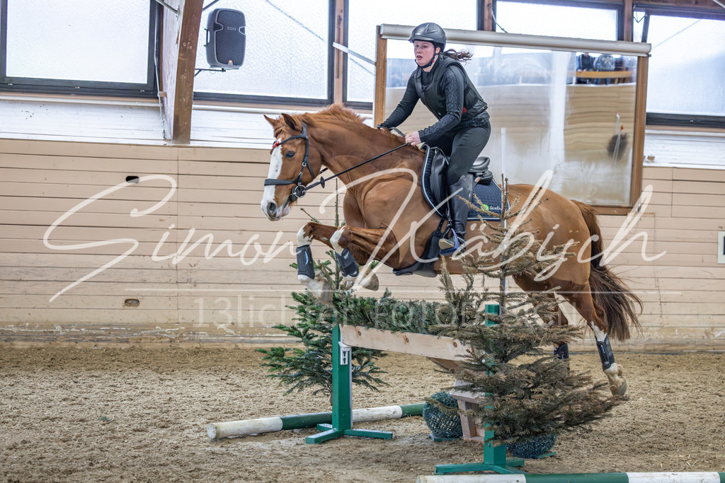 20260222-_3LI1634 | Tierfotografie Pferde, Hunde, Katzen, Haustiere.
Turnierfotografie Reitturniere, Reiten, Springreiten, Dressur in Hanau, dem Main-Kinzig-Kreis und dem Rhein-Main- Gebiet um Frankfurt