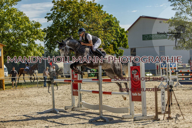 26-7-24 SPF M+-250 | mandyhollmannphotographie
