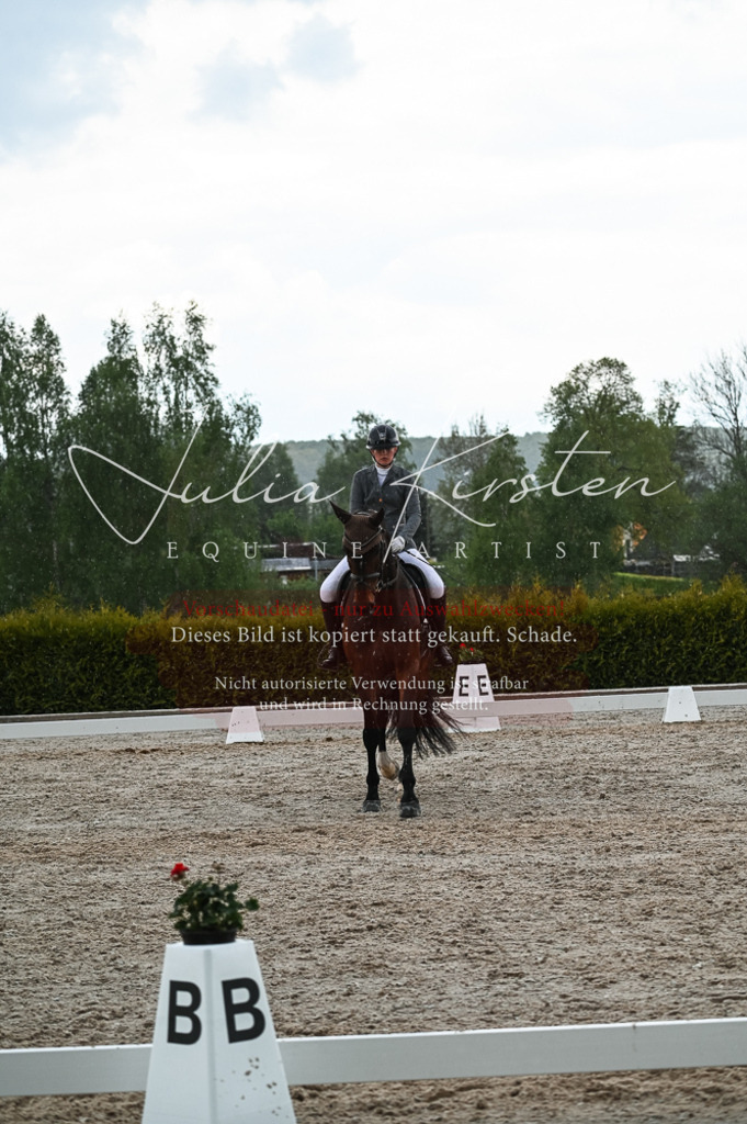 20230513_JK-Röhrsdorf-11-142 | Pferde- und Turnierfotografie in Westsachsen. Pferdeportraits, Auftragszeichnungen und intuitive Kunst.
