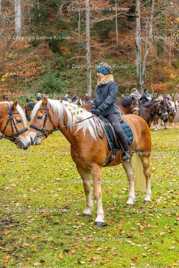 LL25-179 | foto-bettina-krinner - Realisiert mit Pictrs.com
