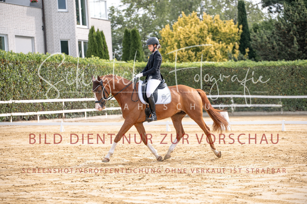 Schugtsche-Aluta25-40.DressurprfA_-194 | Schugtsche Fotografie - Realisiert mit Pictrs.com