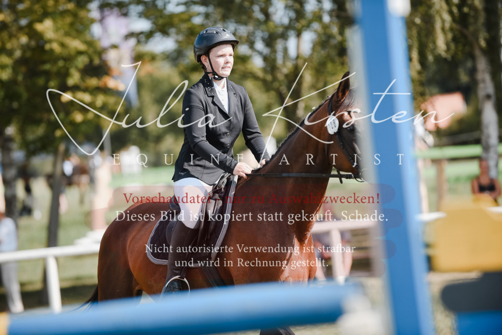 DSC_5254 | Pferde- und Turnierfotografie in Westsachsen. Pferdeportraits, Auftragszeichnungen und intuitive Kunst.