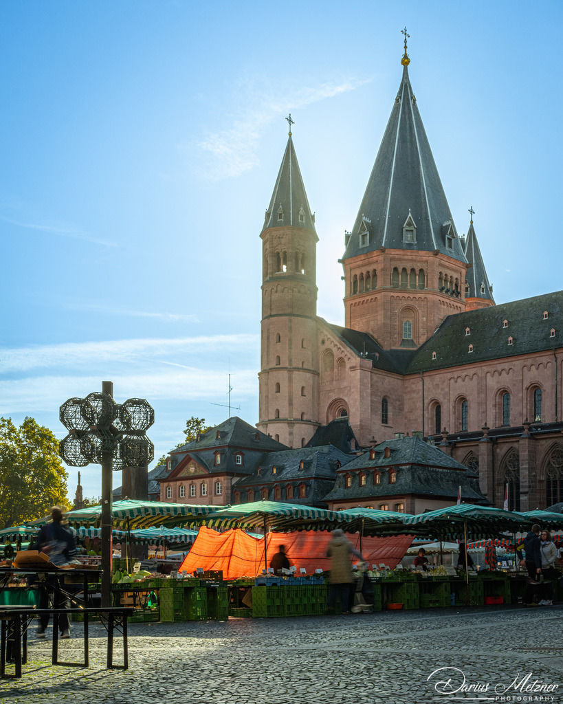 Der Mainzer Dom | Der Mainzer Dom