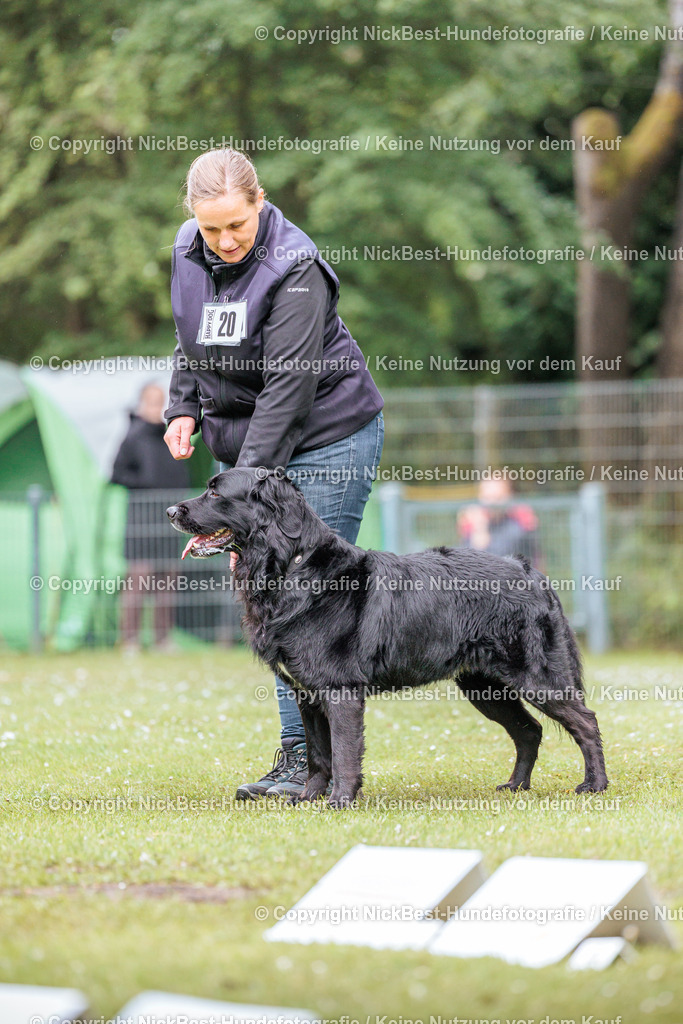 RO-Blumenthal-2026-Nickbest-Hundefotografie-4637 | Dein Hund! Dein Moment! Deine Erinnerungen! Hundefotografie in Bremen Blumenthal. Ich fange die besonderen Momente deines Vierbeiners ein – ob Indoor mit Blitzanlage oder in der freien Natur. Sicher dir dein Moment und dein Termin für eure Erinnerungen.