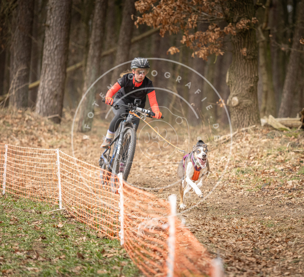 Pfotenfotografie_DV3A3116 | Hundefotografie, Tierfotograf, Pfotenfotografie, Fotoshooting Hund, Hunde Portrait, Hundesport, Hundeportraits, Heideshooting, Hunde, Sportfotograf, Hundefotograf, Turnierhundsport, THS,  - Realisiert mit Pictrs.com