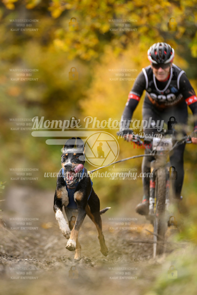 MompixPhotography_ICF_WC_2024_SA_Bike_-369 | PayLife