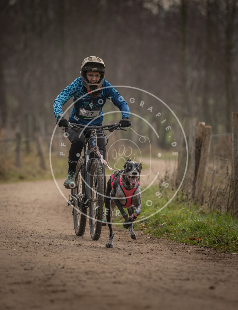 Pfotenfotografie_DV3A1889 | Hundefotografie, Tierfotograf, Pfotenfotografie, Fotoshooting Hund, Hunde Portrait, Hundesport, Hundeportraits, Heideshooting, Hunde, Sportfotograf, Hundefotograf, Turnierhundsport, THS,  - Realisiert mit Pictrs.com