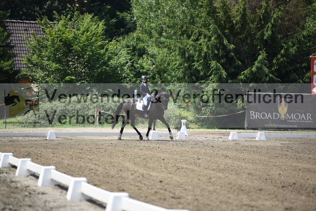 DSC_9785 | equestrian-live-com