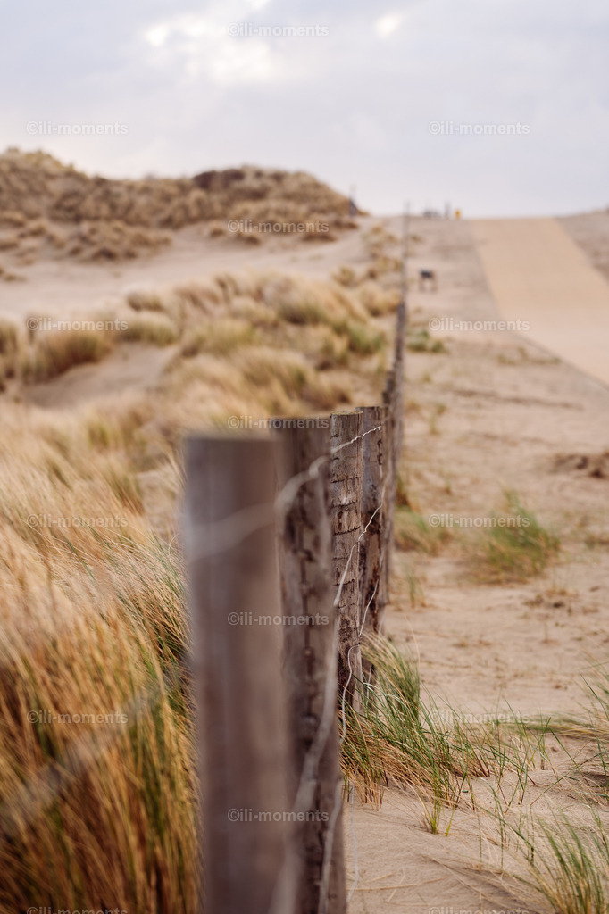 Dünenweg  | Ein sandiger Weg führt durch die Düne, begleitet von einem alten Zaun und leichtem Wind, der sanft die Landschaft bewegt. Dieses ruhige, naturnahe Fotokunstwerk lädt zum Träumen ein – ideal als Kunstdruck für entspannte Räume. - Realisiert mit Pictrs.com