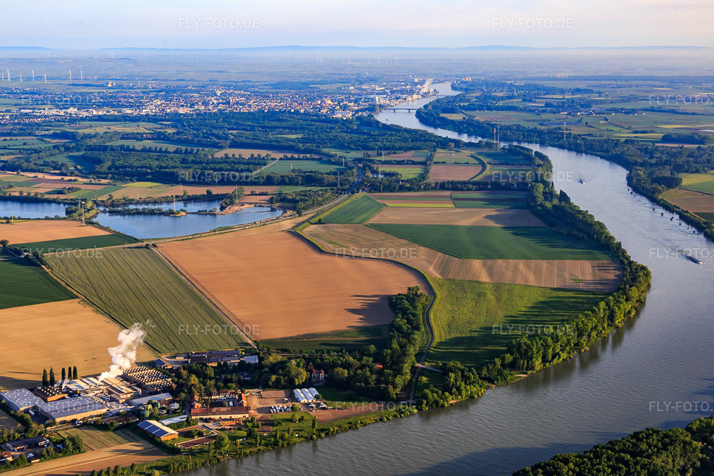 Luftbild: Intersnack Deutschland SE Werk Petersau am Rheinufer und Reitanlage Carlo von Opel am Demeter Hofgut Petersau im Ortsteil Mörsch in Frankenthal im Bundesland Rheinland-Pfalz in Deutschland.Foto: IMG_088666.jpg vom 20.05.2016 durch Werner Riehm/FLY-FOTO.deWWW.HOFGUT-PETERSAU.DEWWW.INTERSNACK.DE