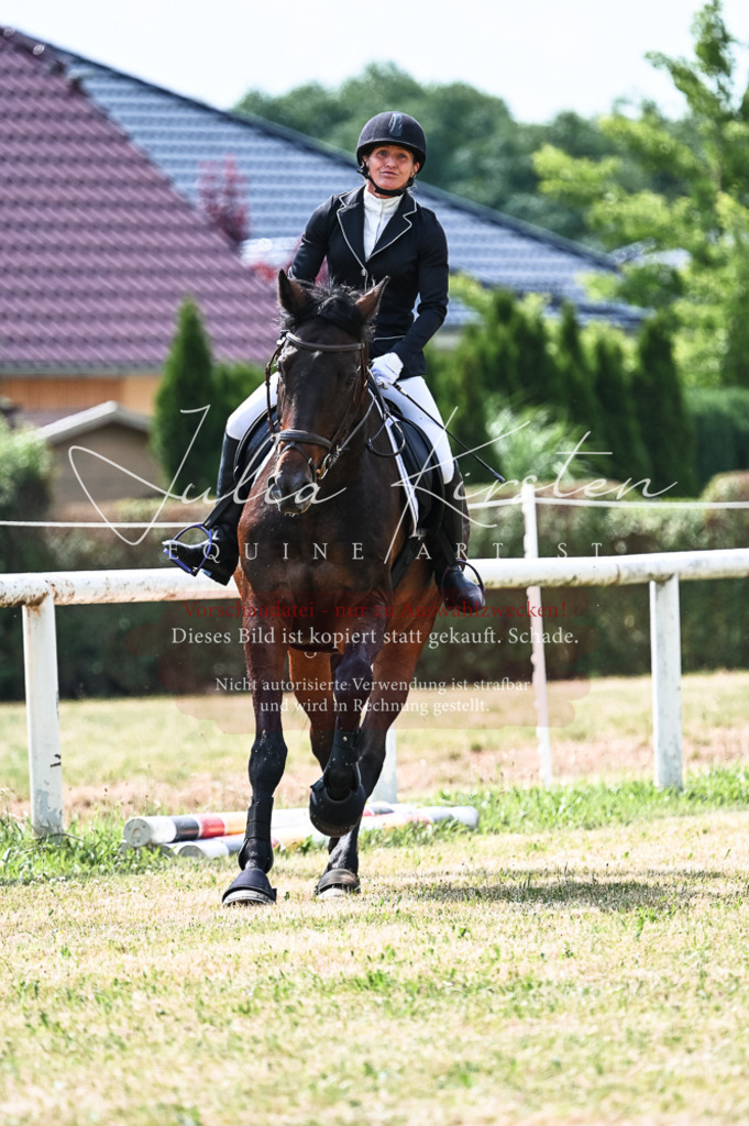 DSC_8894 | Pferde- und Turnierfotografie in Westsachsen. Pferdeportraits, Auftragszeichnungen und intuitive Kunst.