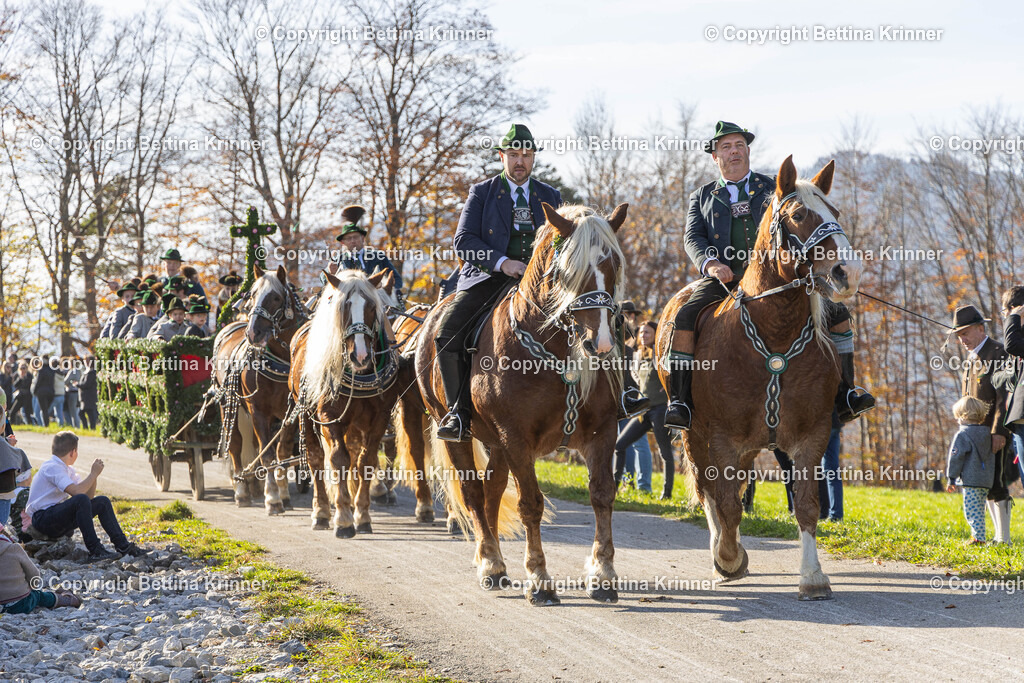 LBT24-1189 | foto-bettina-krinner - Realisiert mit Pictrs.com