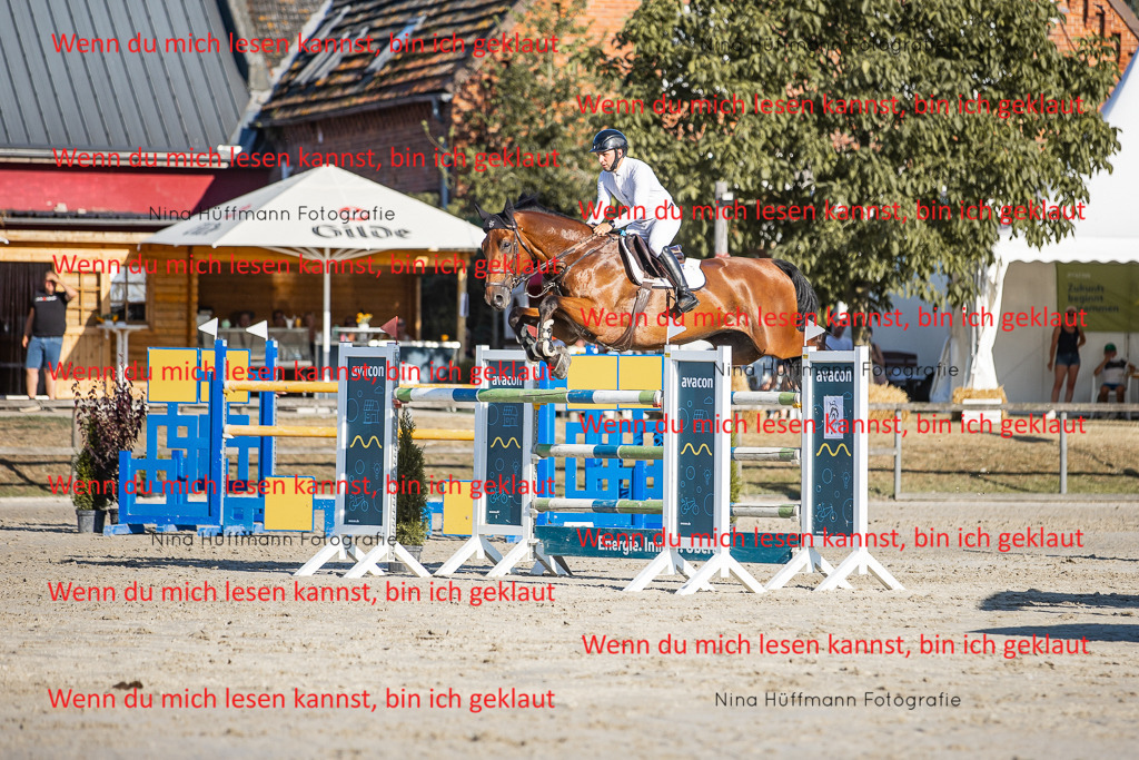 BK1A8747 | Turnierbilder Turnierfotos Nina Hüffmann Turnierfotografie Pferdefotografie Tierzeichnung Haustierzeichnung Pferdezeichnung Hundezeichnung Videograf  - Realisiert mit Pictrs.com