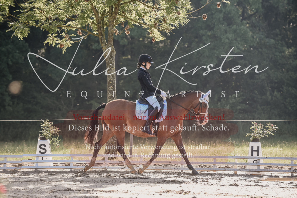 DSC_7851 | Pferde- und Turnierfotografie in Westsachsen. Pferdeportraits, Auftragszeichnungen und intuitive Kunst.