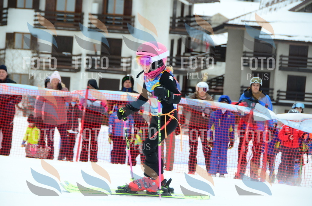 DSC_0715 | holidayphoto