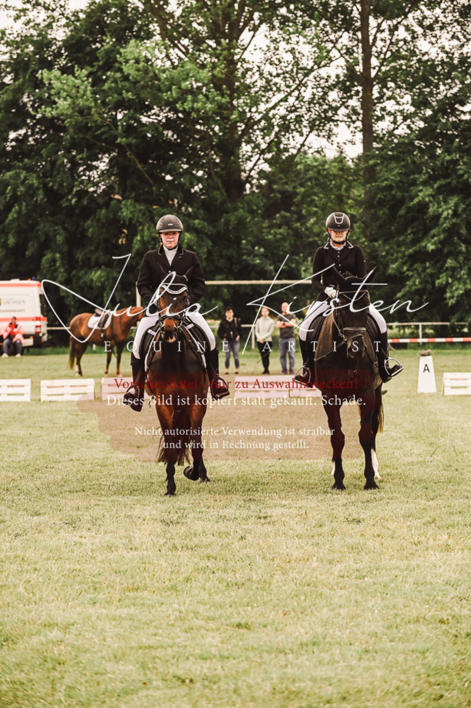 DSC_4942 | Pferde- und Turnierfotografie in Westsachsen. Pferdeportraits, Auftragszeichnungen und intuitive Kunst.