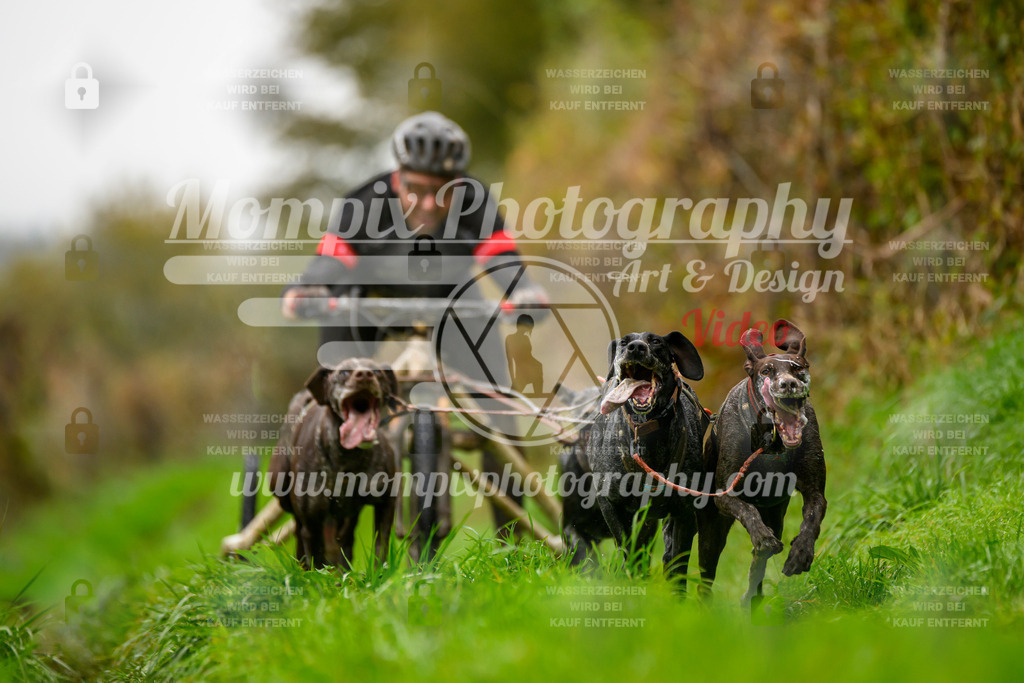 MompixPhotography_20TSB_E8_Kart-9 | PayLife