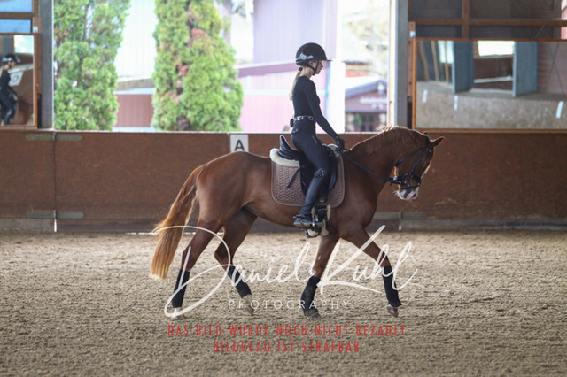 DKP42584 | Turniersportfotografie; Pferdefotografie; Dressurfotografie