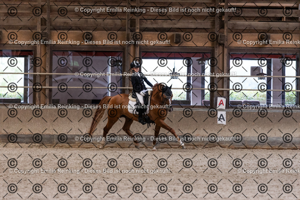 CL5A5278 | Emilia Reinking Fotografie - Realisiert mit Pictrs.com