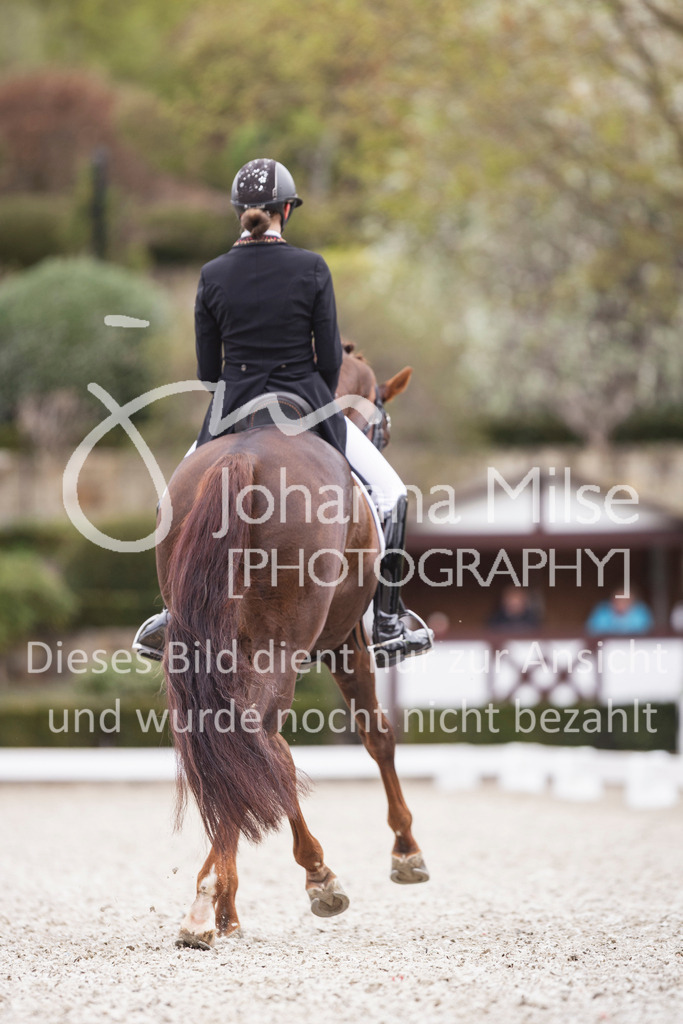 260412_Kronberg_S-Dressur-618 | Deine schönsten Turniermomente als professionelle Fotos! Entdecke hochwertige Pferdesport-Fotografie im Online-Shop. Jetzt Fotos finden & bestellen!