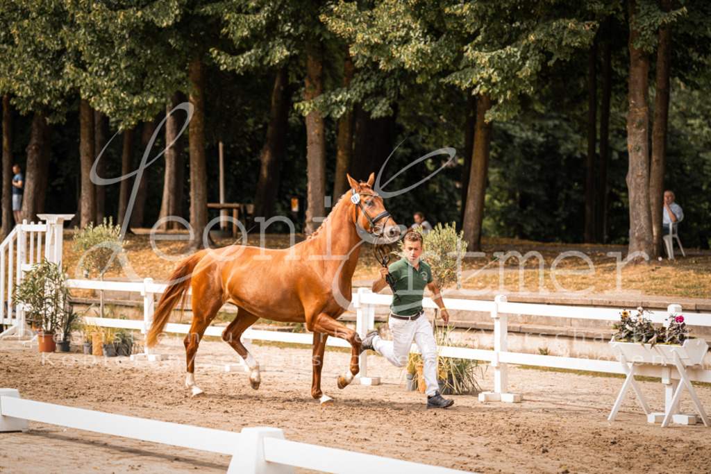 7.Fr00044 | Leoni Ertmer Photography - Realisiert mit Pictrs.com