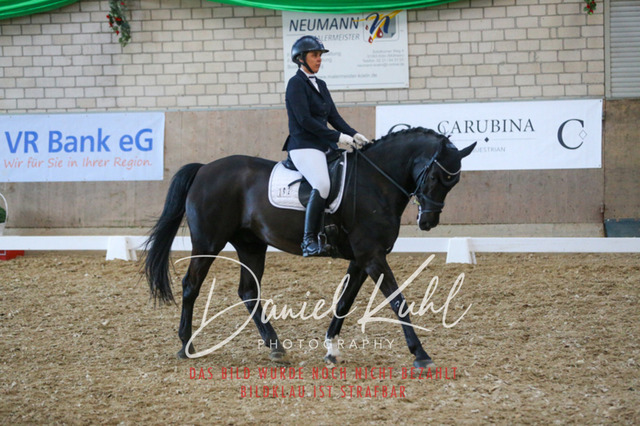 IMG_2651 | Turnierfotos kaufen im Webshop von Daniel Kuhl Photography – entdecke professionelle Reitsportfotos aus Turnieren & Events. Hochwertige Turnierbilder online bestellen & sichern. Jetzt Fotos von Reitsportturnieren kaufen!