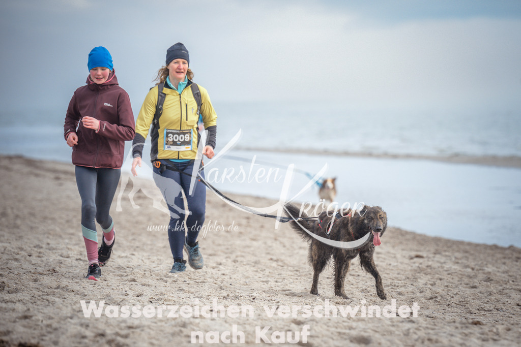 1145_ZZ90578 | kk-dogfotos