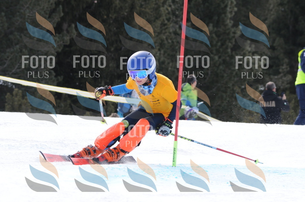 C7658 | holidayphoto